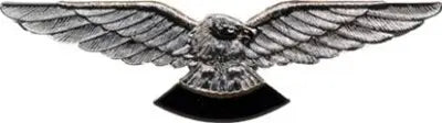 Silver Eagle Wings Shirt Pin